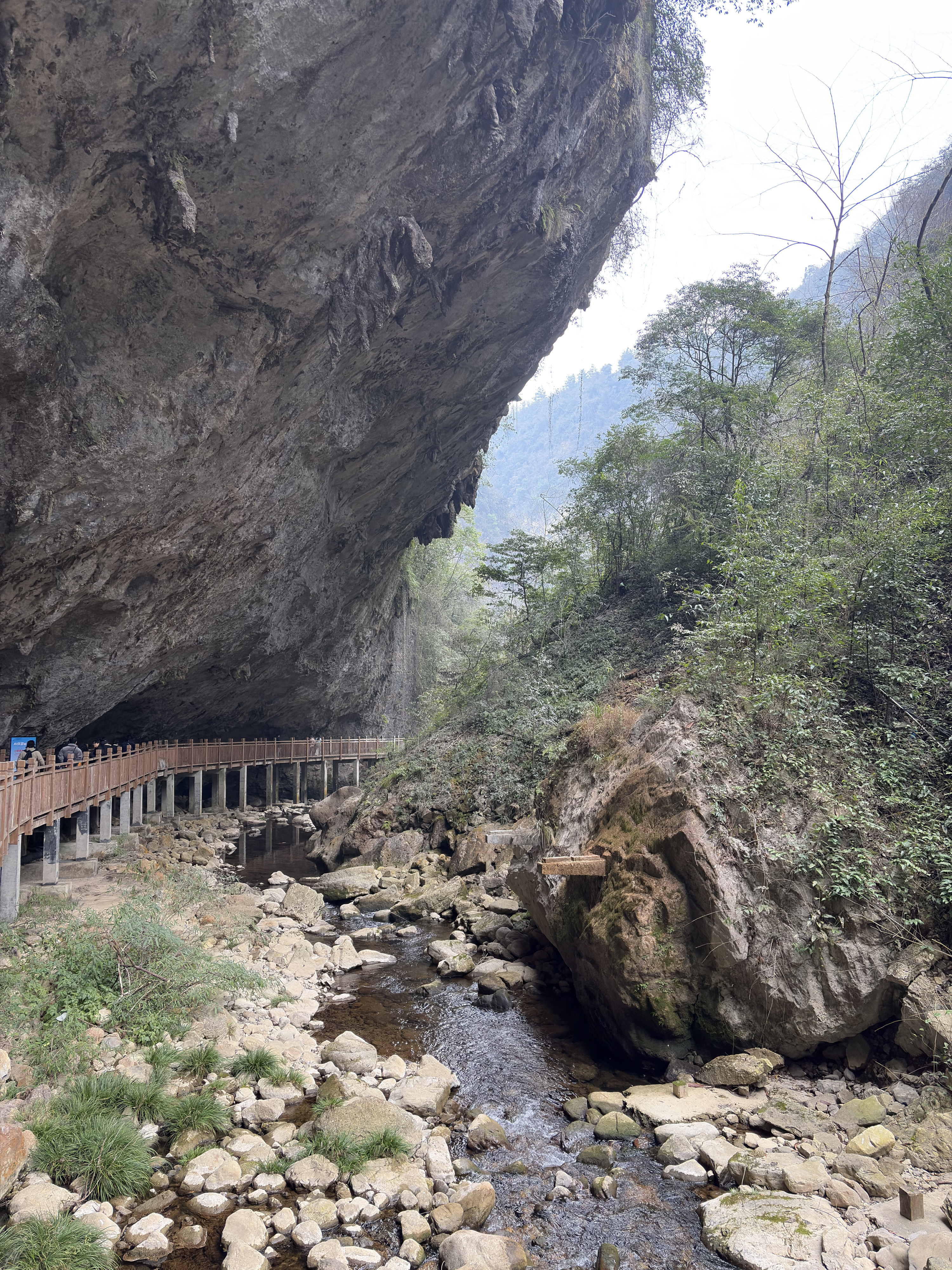 Picture China Zhangjiajie Grand Canion 2026-01 14 - Center Grand Canion
