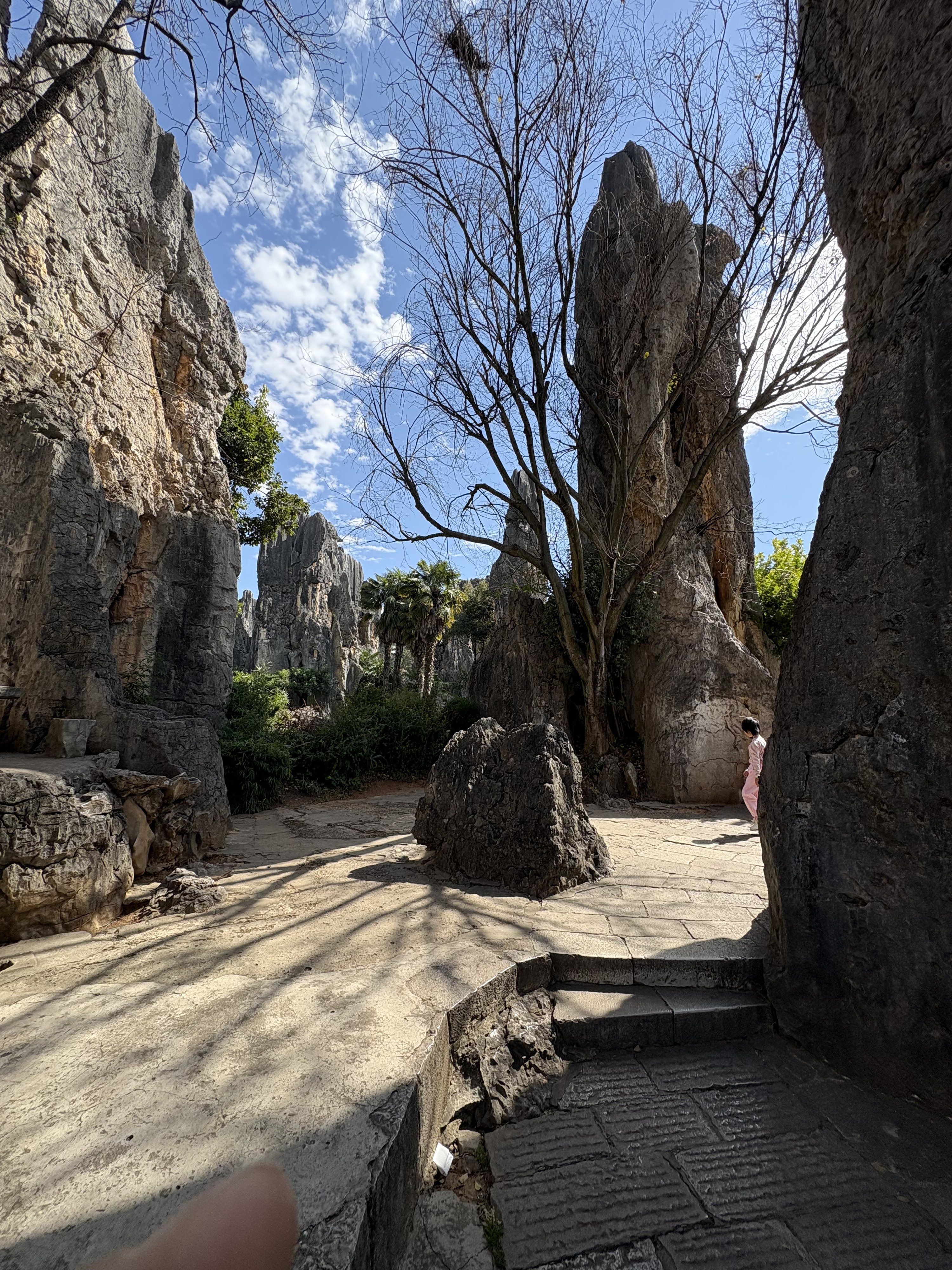 Picture China Shilin Stone Forest 2026-01 90 - Recreation Shilin Stone Forest
