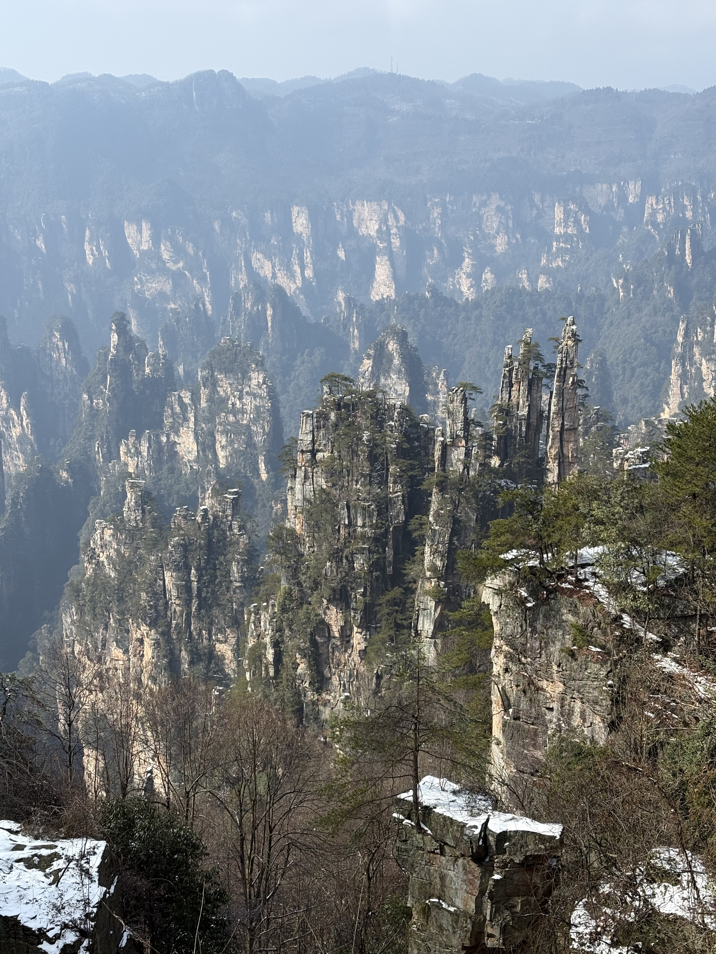 Picture China Zhangjiajie Tianzi Mountrain 2026-01 264 - Center Tianzi Mountrain
