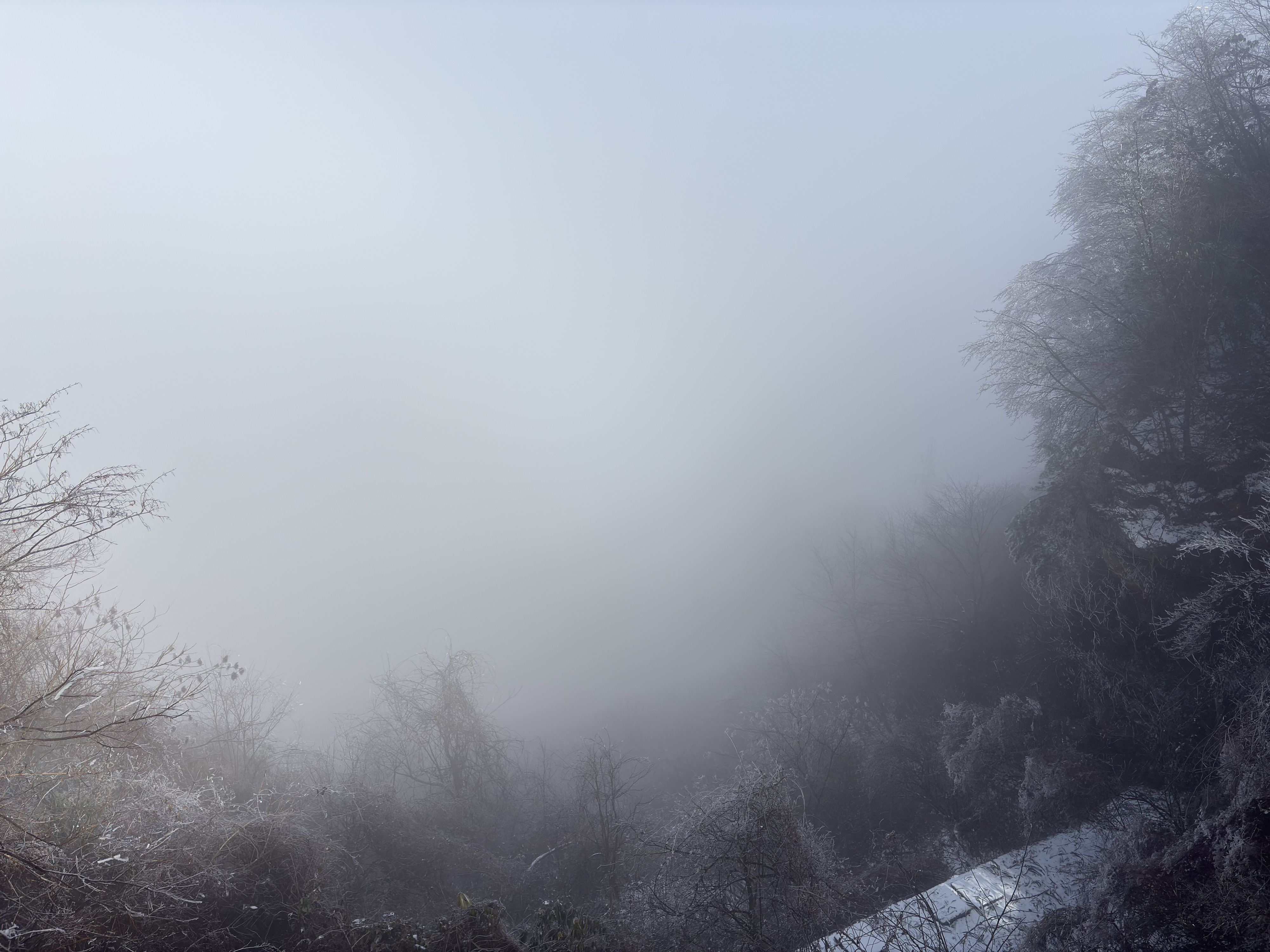 Picture China Zhangjiajie Tianzi Mountrain 2026-01 58 - Tour Tianzi Mountrain