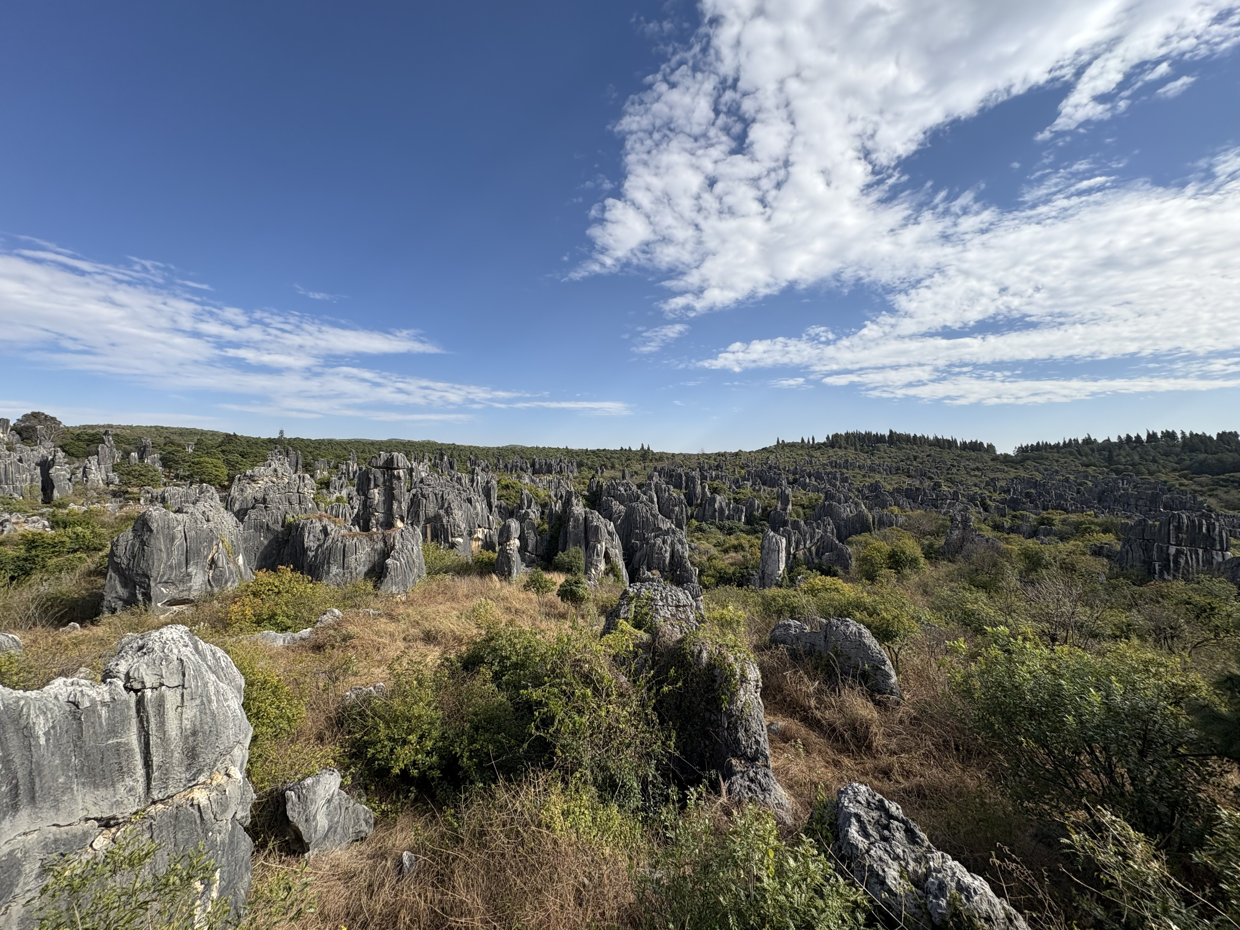 Picture China Shilin Stone Forest 2026-01 387 - Center Shilin Stone Forest