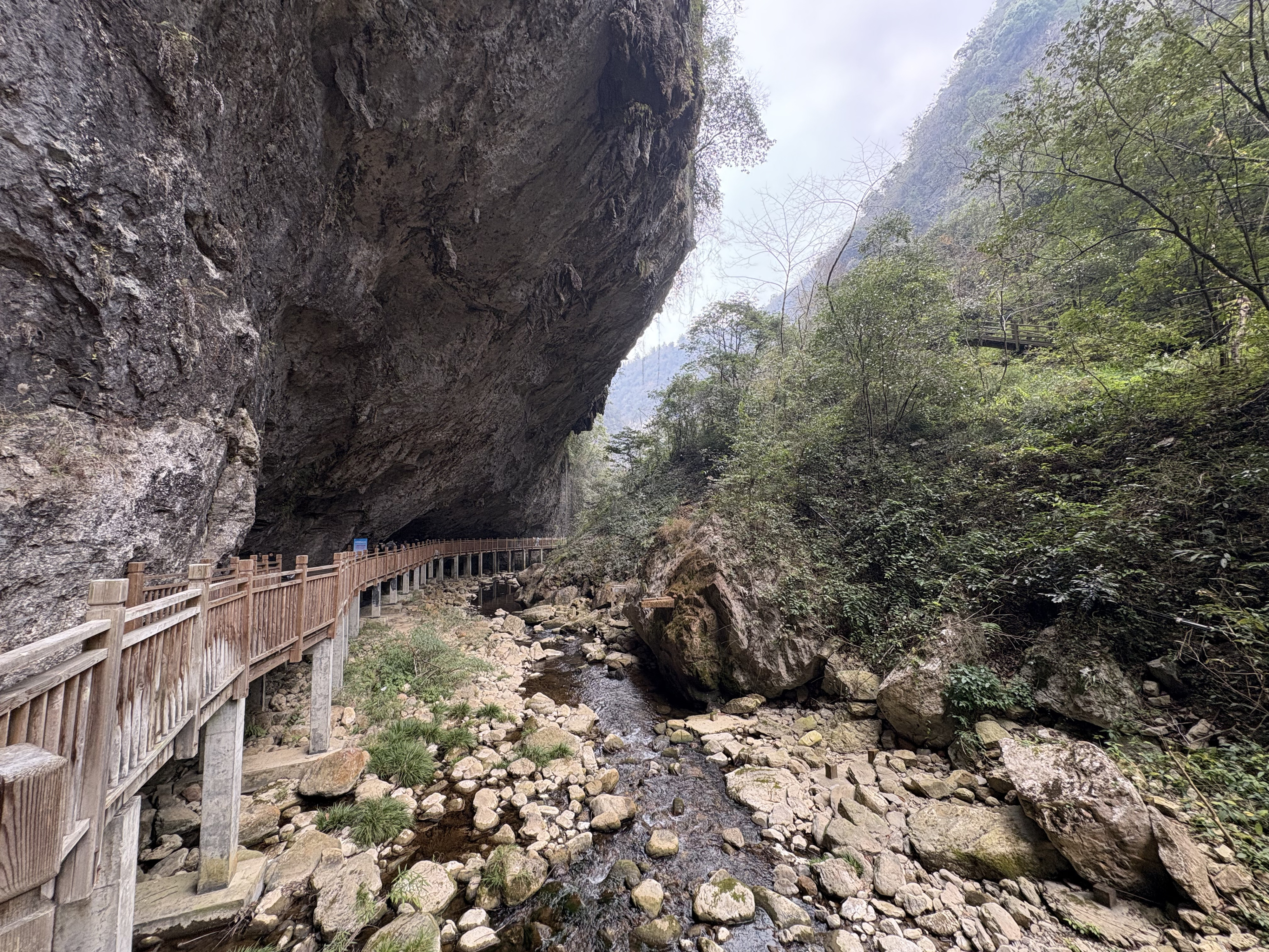 Picture China Zhangjiajie Grand Canion 2026-01 63 - Tour Grand Canion