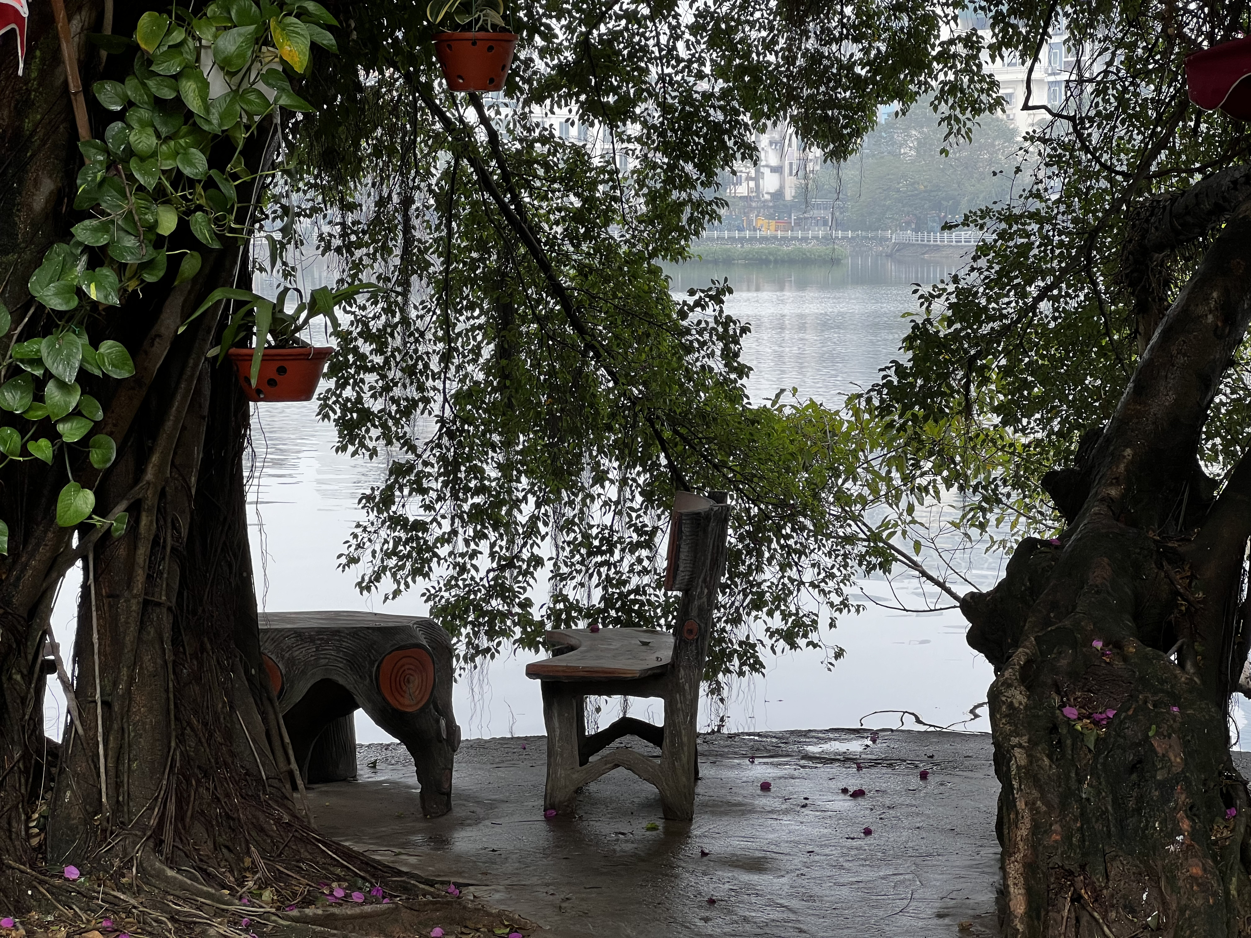 Picture Vietnam Hanoi Tay Lake 2024-01 12 - Journey Tay Lake