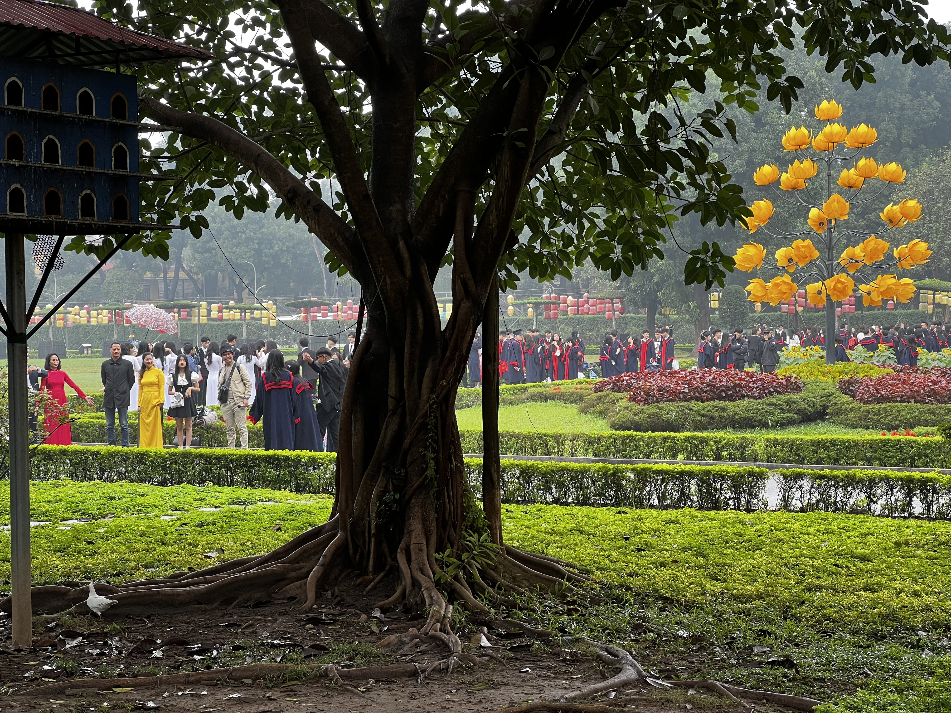 Picture Vietnam Hanoi Thang Long Citadel 2024-01 31 - Journey Thang Long Citadel