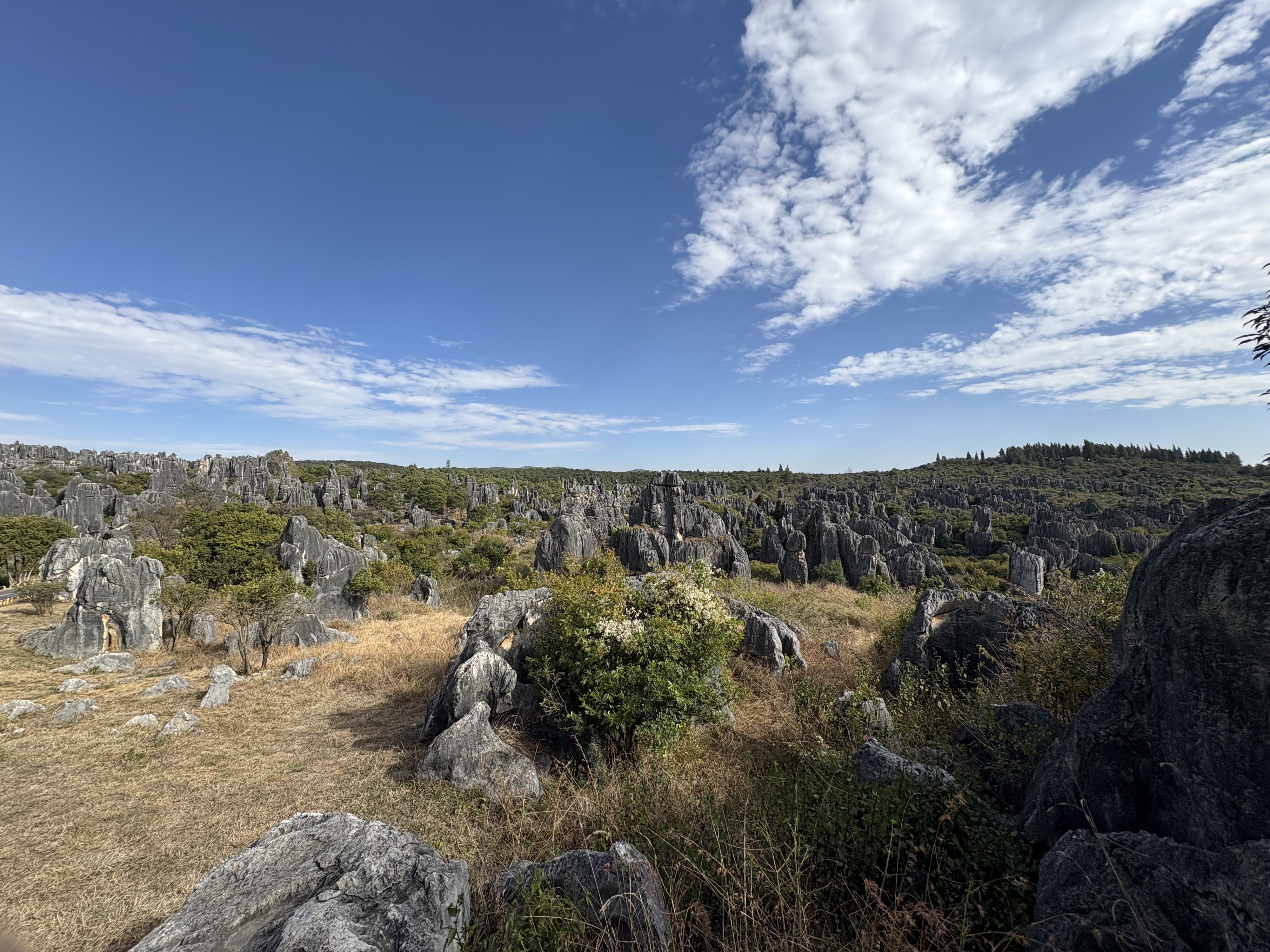 Picture China Shilin Stone Forest 2026-01 53 - Center Shilin Stone Forest
