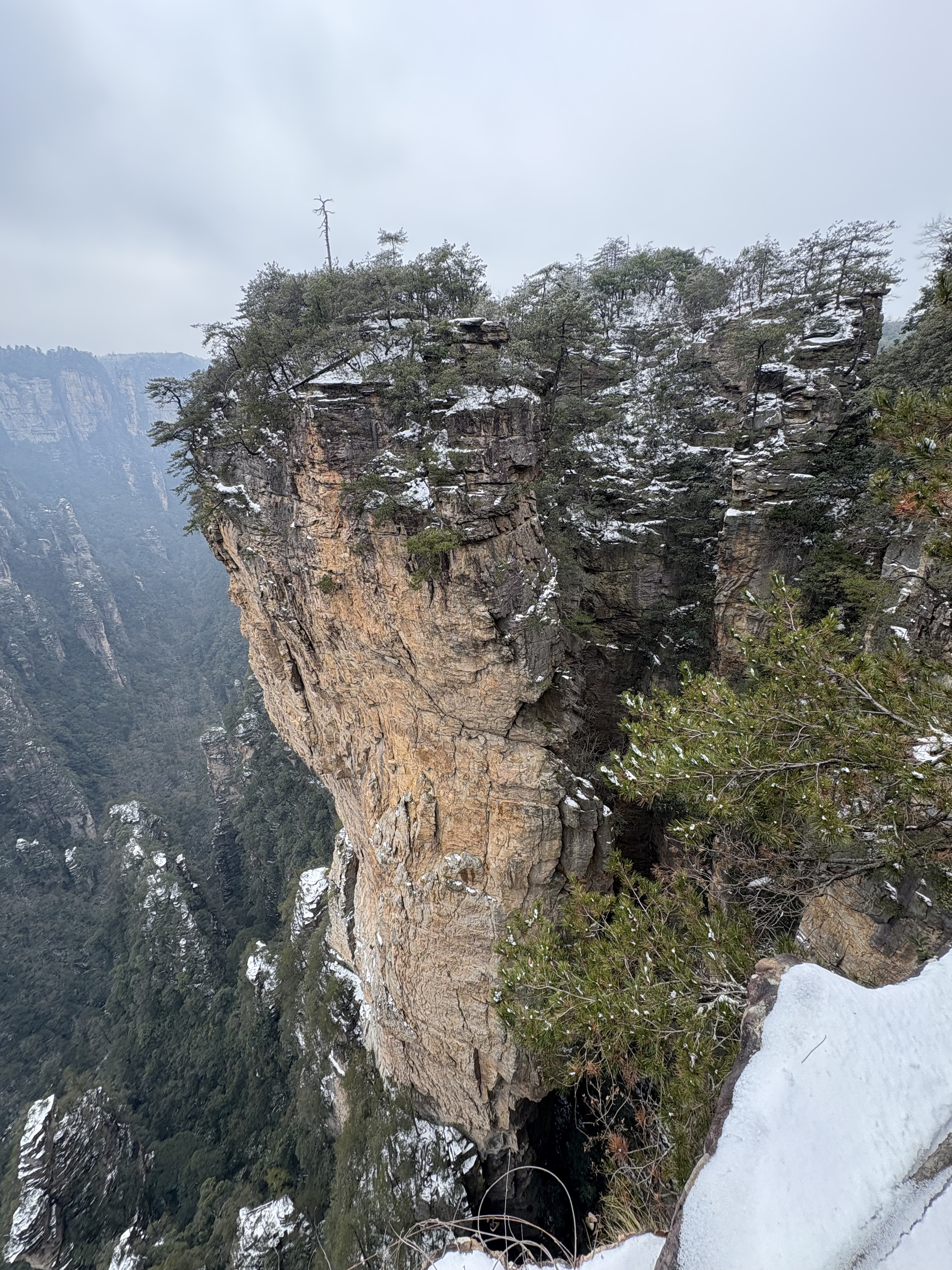 Picture China Zhangjiajie 2026-01 35 - Tours Zhangjiajie