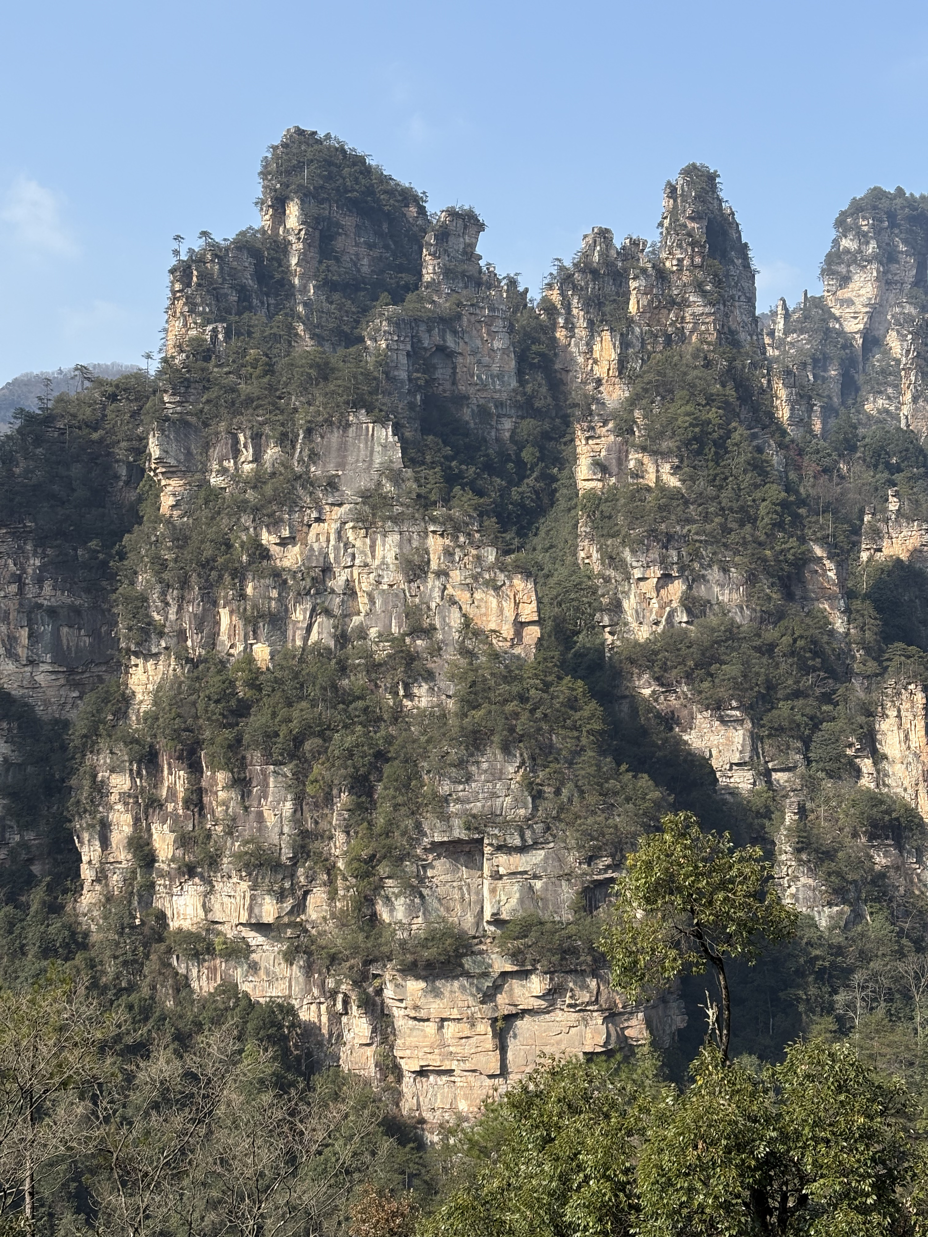 Picture China Zhangjiajie Tianzi Mountrain 2026-01 441 - Tours Tianzi Mountrain