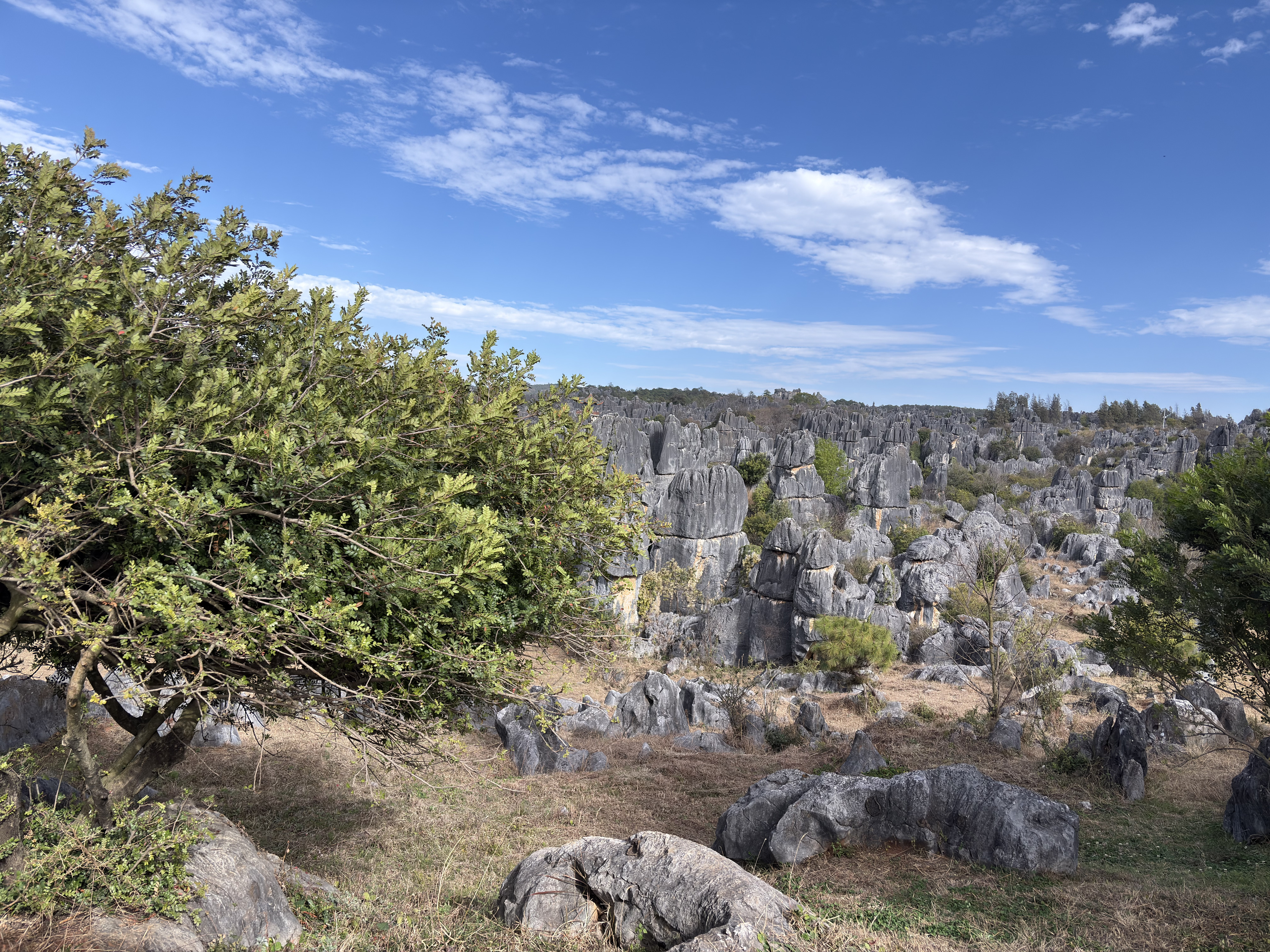 Picture China Shilin Stone Forest 2026-01 39 - Tour Shilin Stone Forest