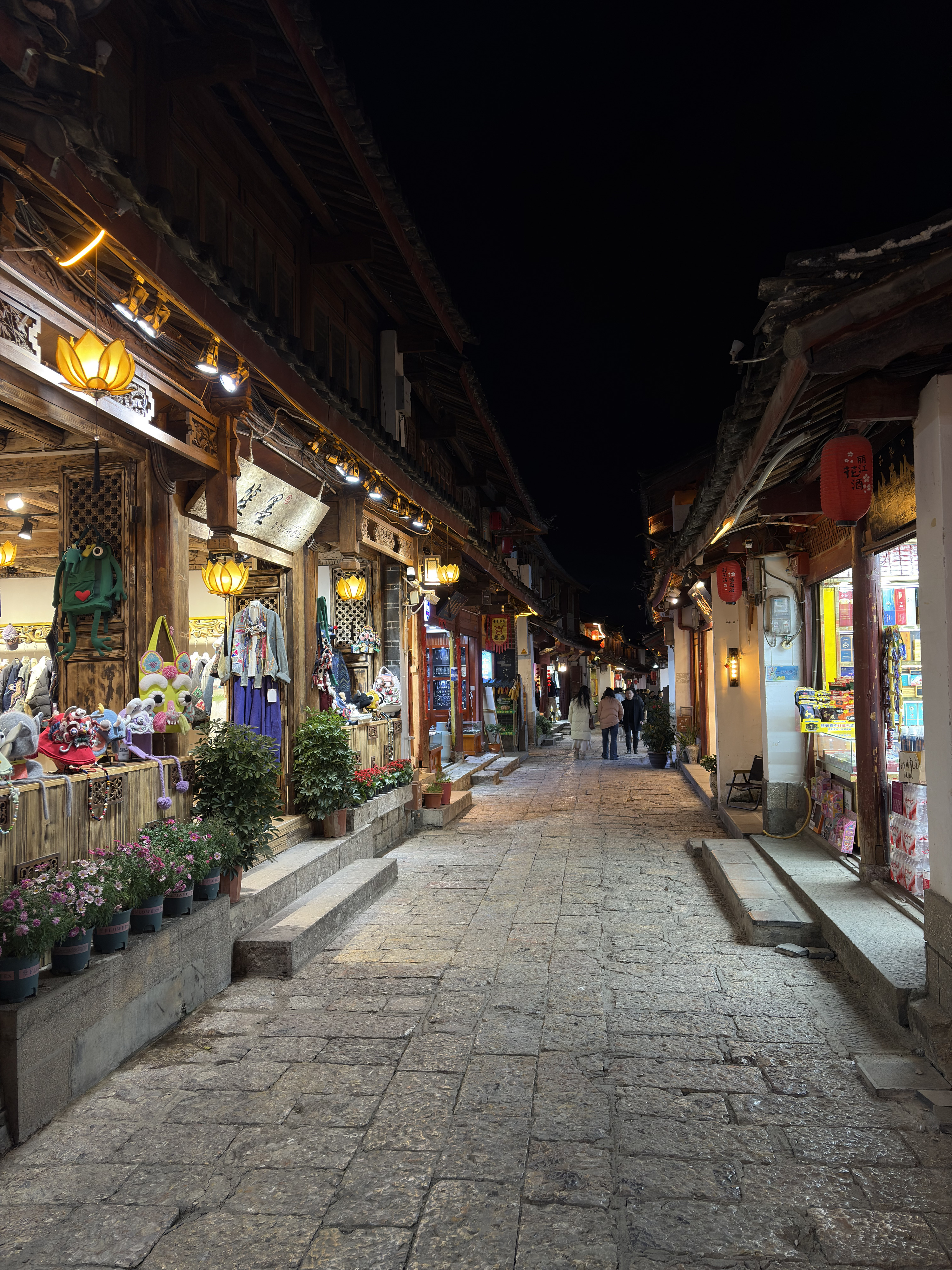 Picture China Lijiang 2026-01 556 - Center Lijiang