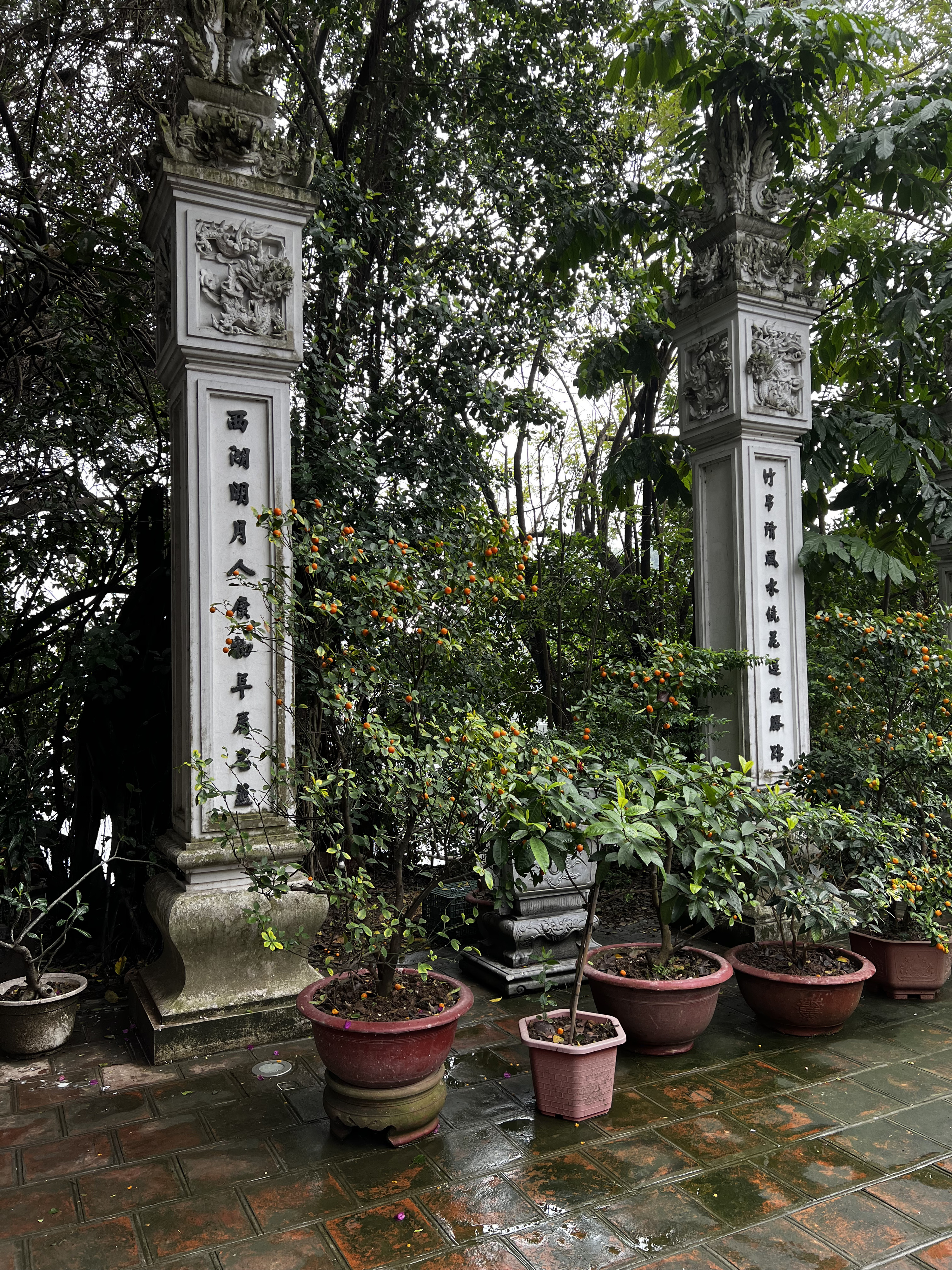 Picture Vietnam Hanoi Tay Lake 2024-01 28 - Discovery Tay Lake