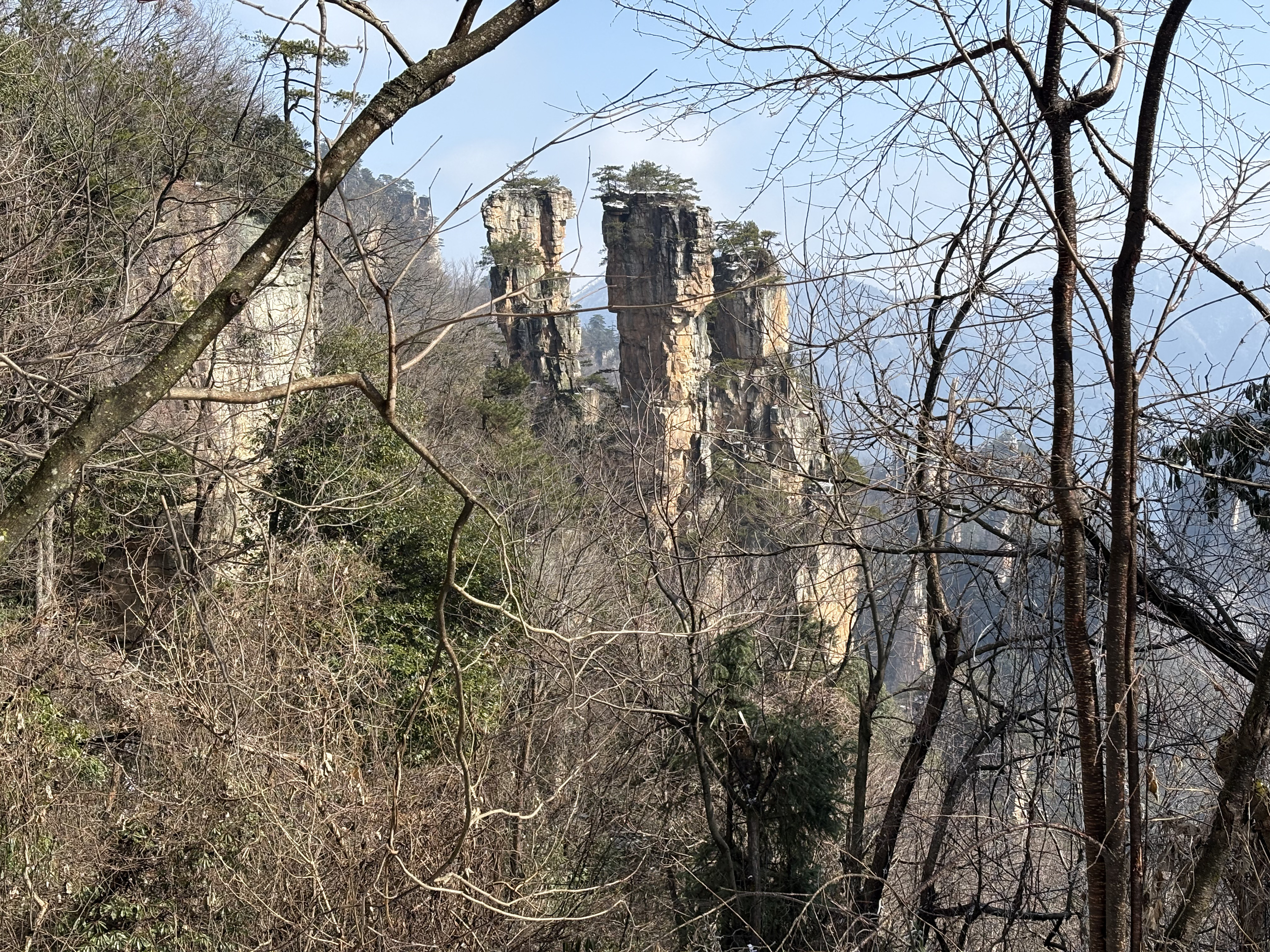 Picture China Zhangjiajie Tianzi Mountrain 2026-01 69 - Discovery Tianzi Mountrain
