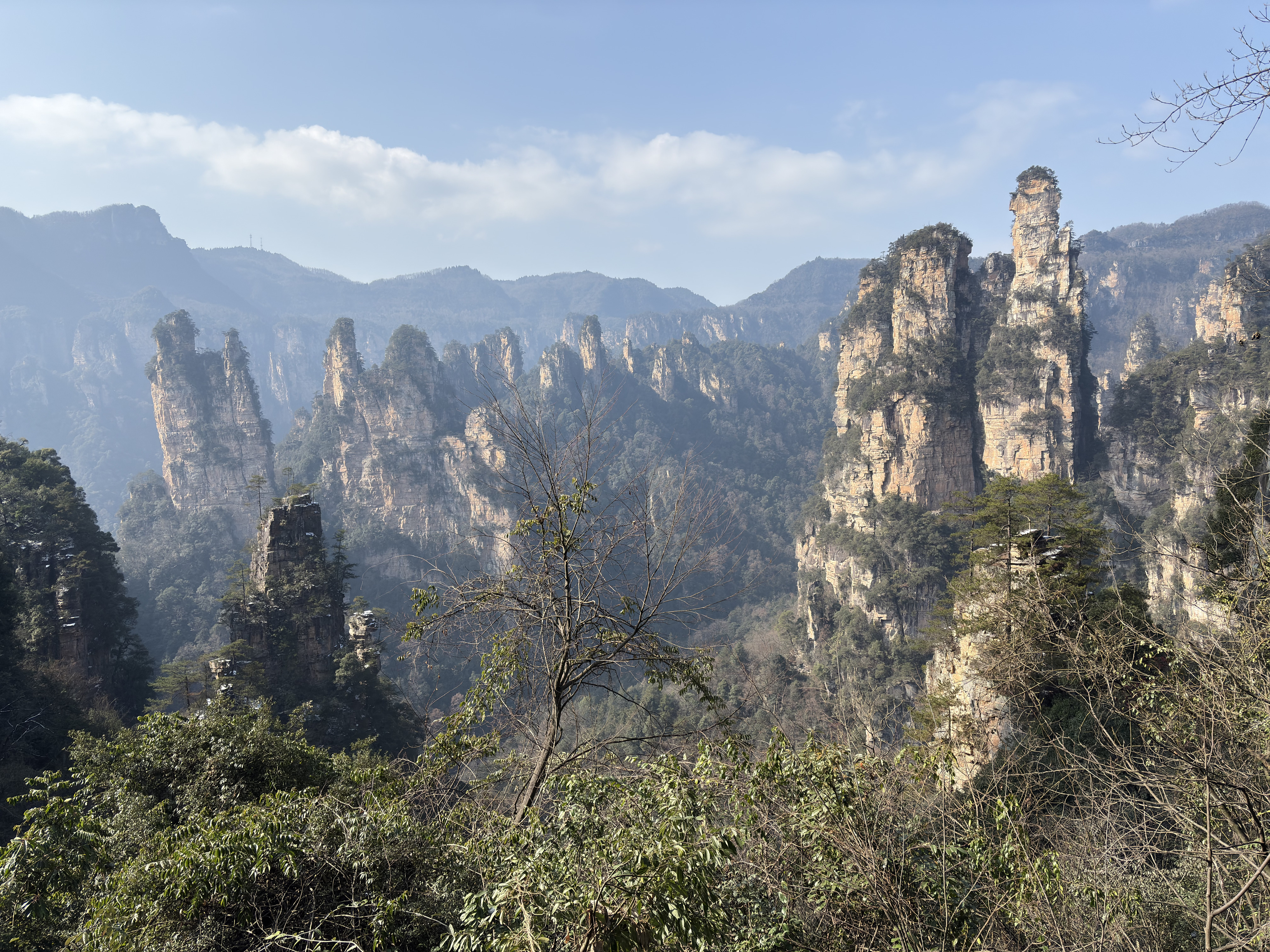 Picture China Zhangjiajie Tianzi Mountrain 2026-01 351 - Discovery Tianzi Mountrain
