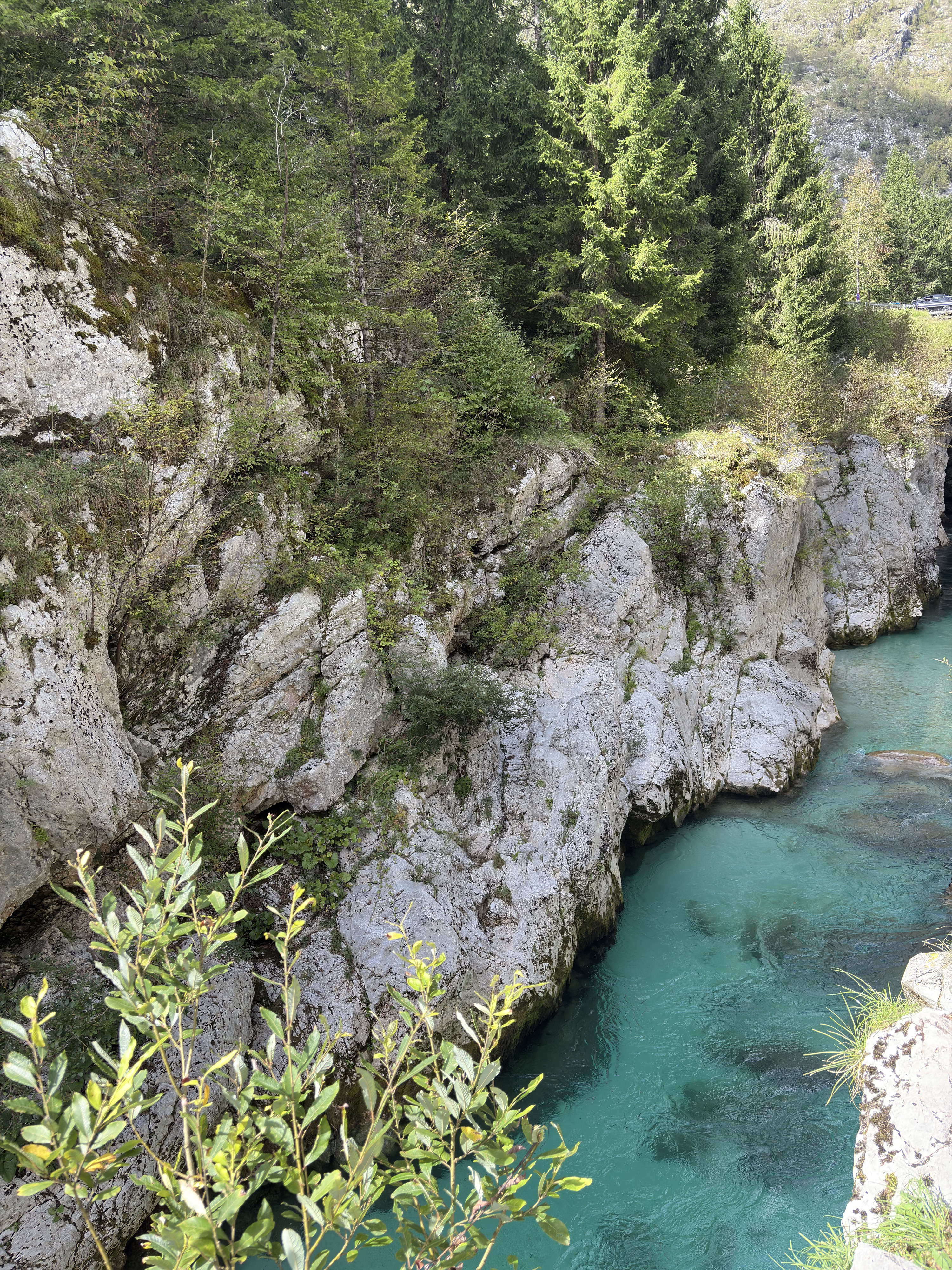 Picture Slovenia Soca River 2025-09 149 - Center Soca River