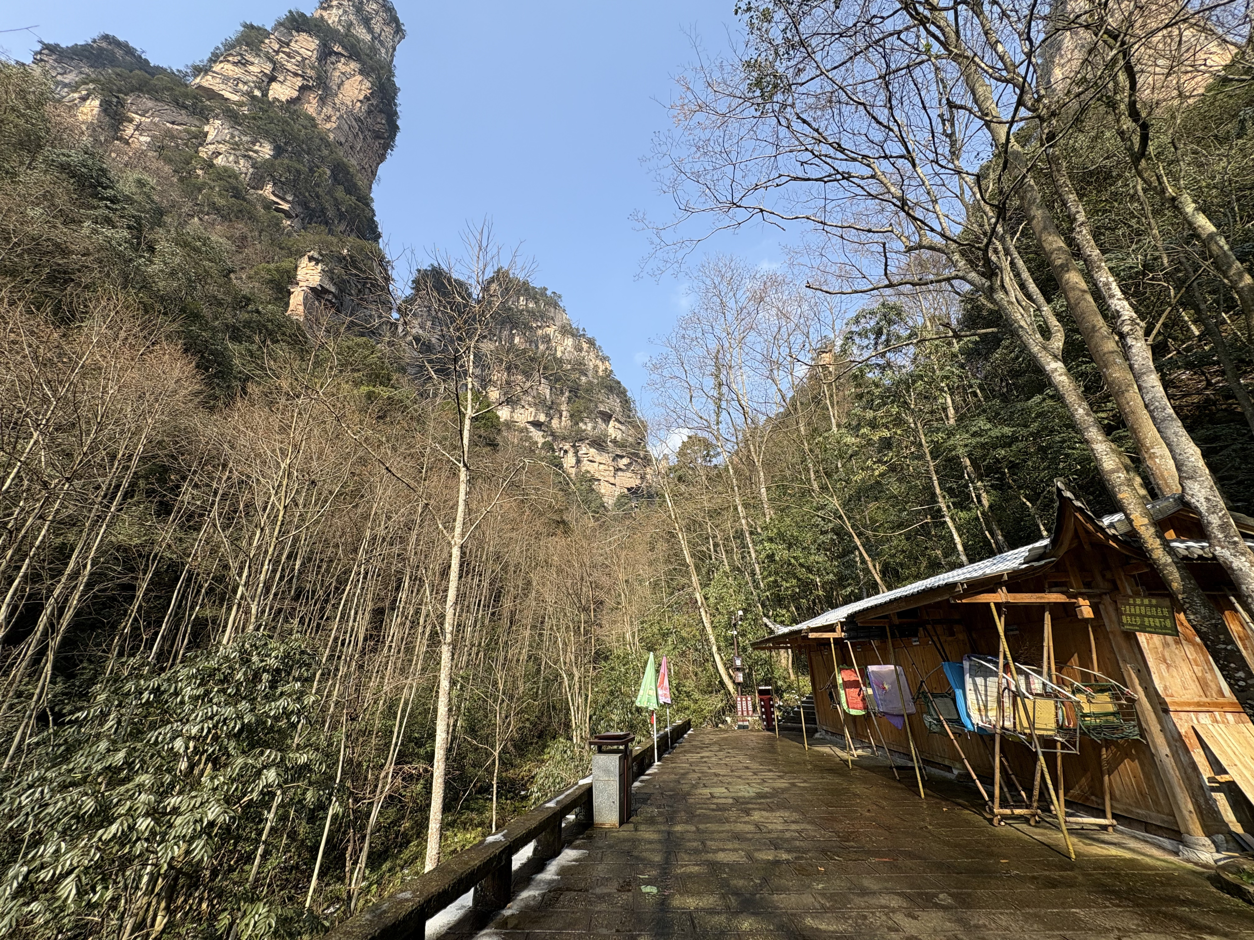 Picture China Zhangjiajie Tianzi Mountrain 2026-01 218 - Discovery Tianzi Mountrain