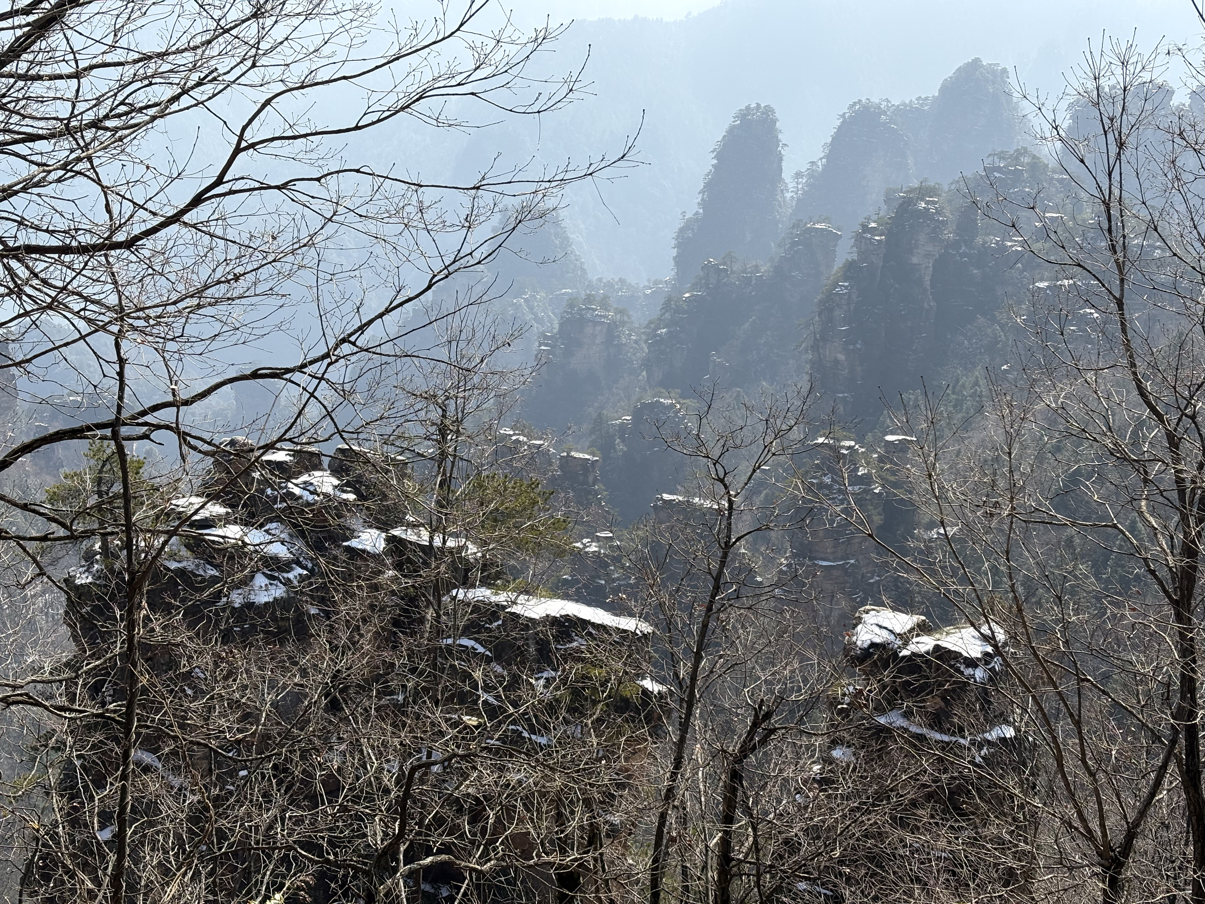 Picture China Zhangjiajie Tianzi Mountrain 2026-01 106 - Discovery Tianzi Mountrain