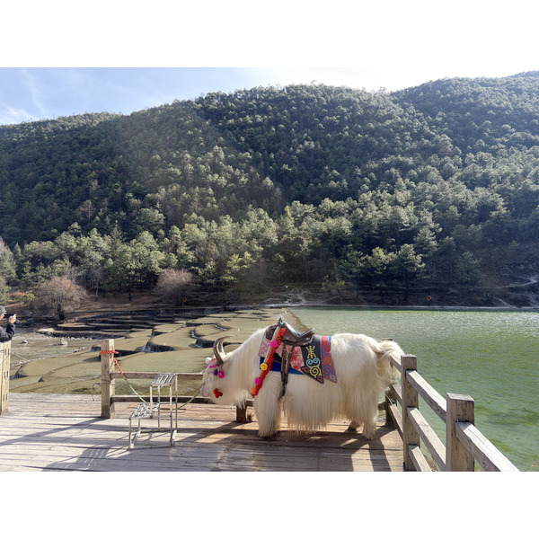 Picture China Lijiang Blue moon valley 2026-01 67 - History Blue moon valley