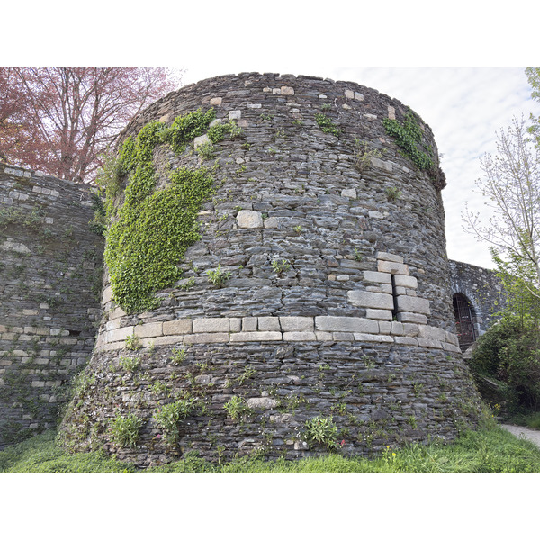 Picture France Rochefort en terre 2026-04 74