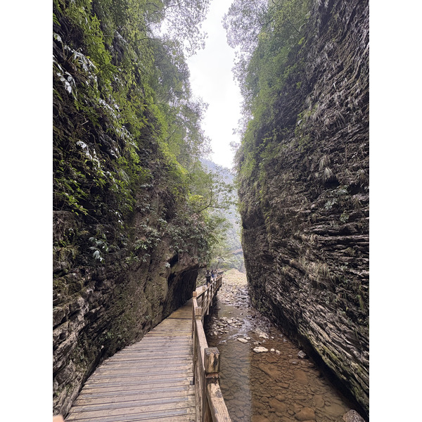 Picture China Zhangjiajie Grand Canion 2026-01 21 - Discovery Grand Canion