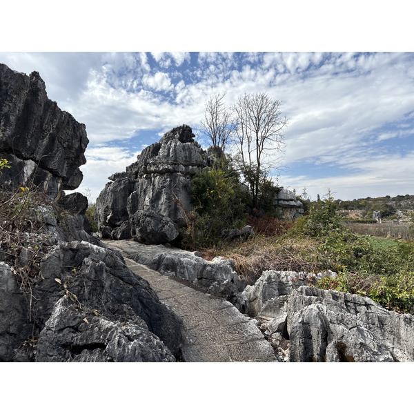 Picture China Shilin Stone Forest 2026-01 393 - Tours Shilin Stone Forest