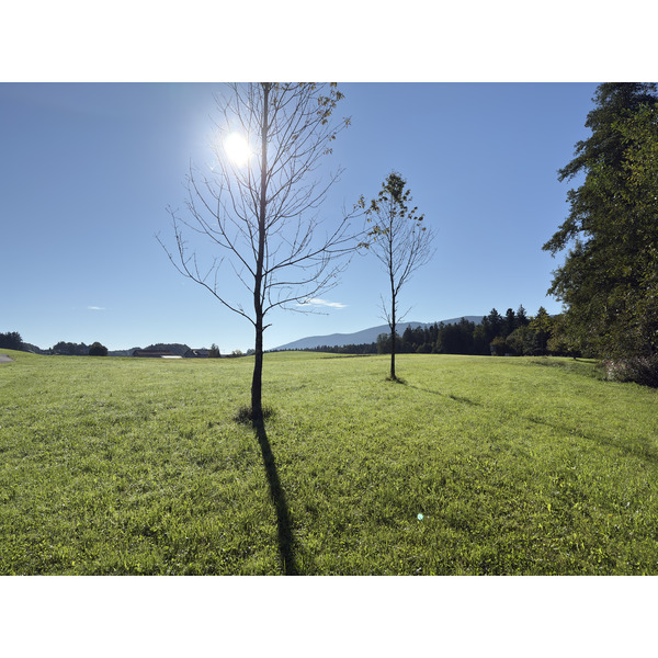 Picture Germany Surberg 2025-09 9 - Discovery Surberg