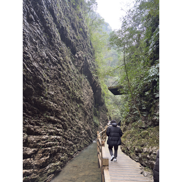 Picture China Zhangjiajie Grand Canion 2026-01 43 - Journey Grand Canion