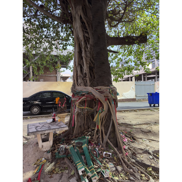 Picture Thailand Pattaya Dongtan beach 2025-12 17 - History Dongtan beach