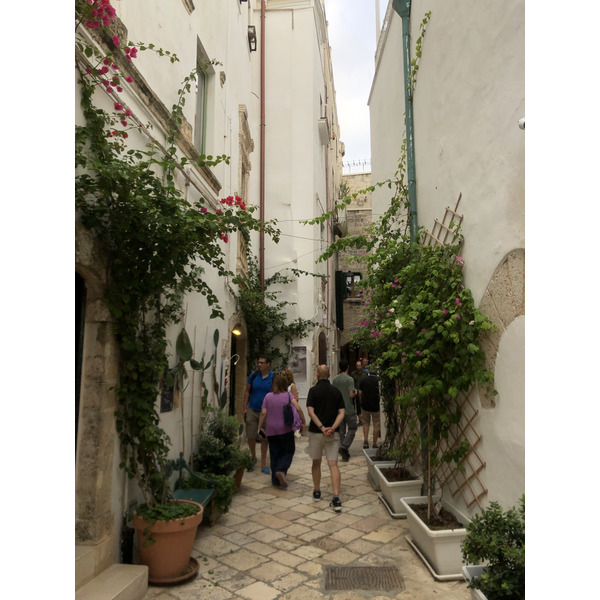 Picture Italy Polignano a mare 2024-09 39 - Around Polignano a mare