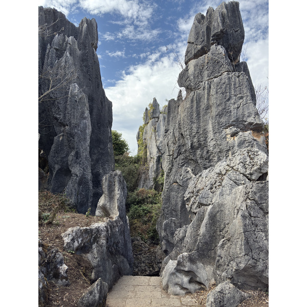 Picture China Shilin Stone Forest 2026-01 112 - Tour Shilin Stone Forest