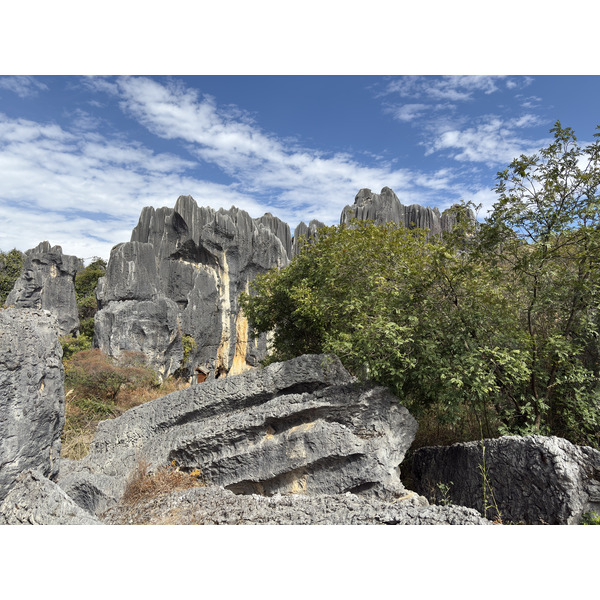 Picture China Shilin Stone Forest 2026-01 177 - Journey Shilin Stone Forest