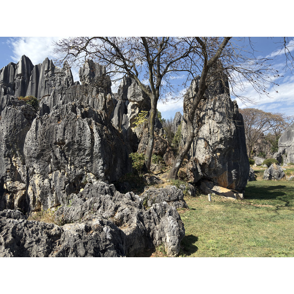 Picture China Shilin Stone Forest 2026-01 388 - Discovery Shilin Stone Forest