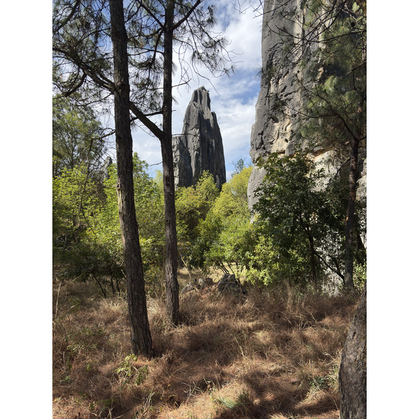 Picture China Shilin Stone Forest 2026-01 323 - Journey Shilin Stone Forest