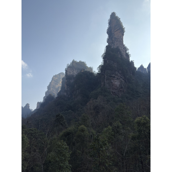 Picture China Zhangjiajie Tianzi Mountrain 2026-01 2 - Recreation Tianzi Mountrain