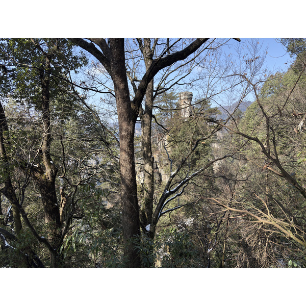 Picture China Zhangjiajie Tianzi Mountrain 2026-01 319 - Journey Tianzi Mountrain