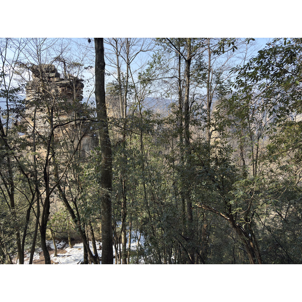 Picture China Zhangjiajie Tianzi Mountrain 2026-01 331 - Discovery Tianzi Mountrain