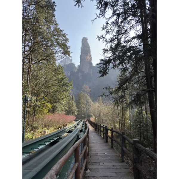 Picture China Zhangjiajie Tianzi Mountrain 2026-01 192 - Tour Tianzi Mountrain
