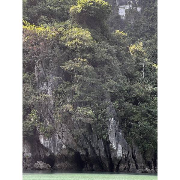 Picture Vietnam Ha Long Bay 2024-01 48 - Tours Ha Long Bay