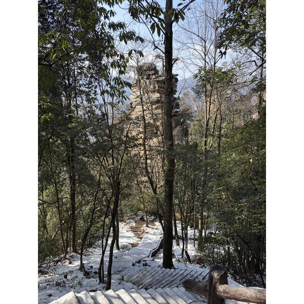 Picture China Zhangjiajie Tianzi Mountrain 2026-01 440 - Discovery Tianzi Mountrain