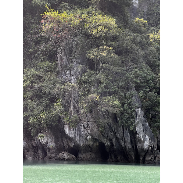 Picture Vietnam Ha Long Bay 2024-01 66 - Around Ha Long Bay