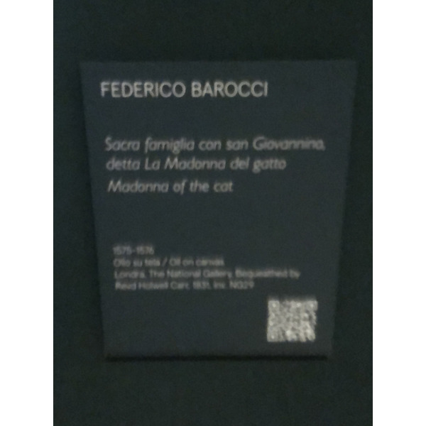 Picture Italy Urbino 2024-09 458 - Discovery Urbino