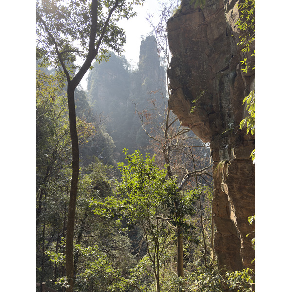 Picture China Zhangjiajie Tianzi Mountrain 2026-01 117 - History Tianzi Mountrain