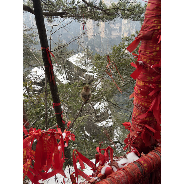 Picture China Zhangjiajie 2026-01 236 - Tours Zhangjiajie