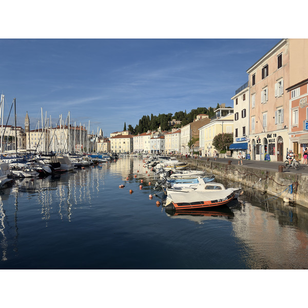 Picture Slovenia Piran 2025-09 45 - Tour Piran