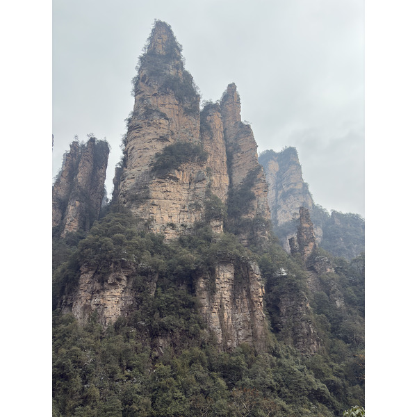 Picture China Zhangjiajie 2026-01 144 - Center Zhangjiajie