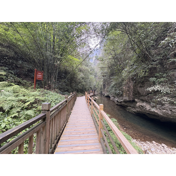 Picture China Zhangjiajie Grand Canion 2026-01 19 - Center Grand Canion