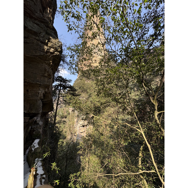 Picture China Zhangjiajie Tianzi Mountrain 2026-01 37 - Journey Tianzi Mountrain