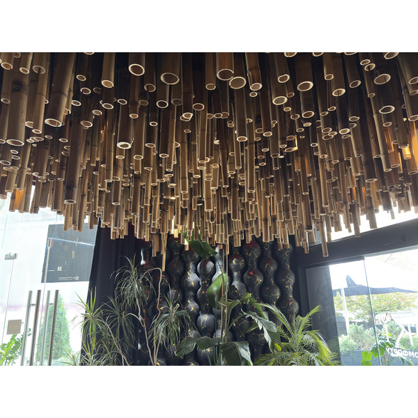 Picture Ukraine Lviv Ruis Hotel 2024-10 1 - Journey Ruis Hotel