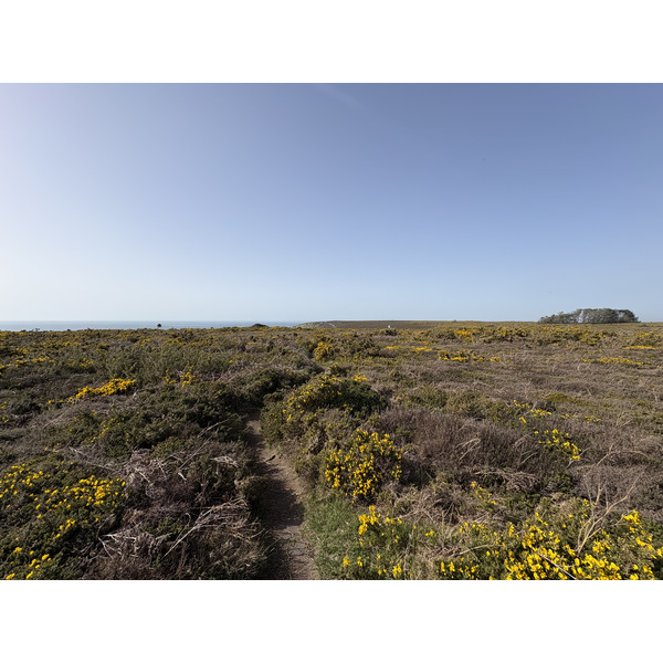 Picture France Crozon Cap de la Chevre 2026-04 14 - Tours Cap de la Chevre