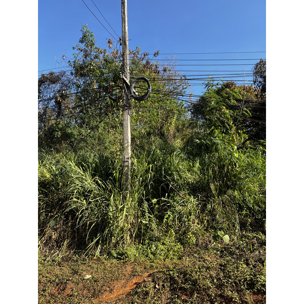 Picture Thailand Ban Wana Luang 2024-01 22 - Recreation Ban Wana Luang