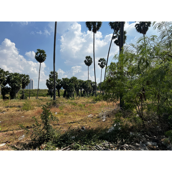 Picture Thailand Pattaya 2023-12 14 - History Pattaya
