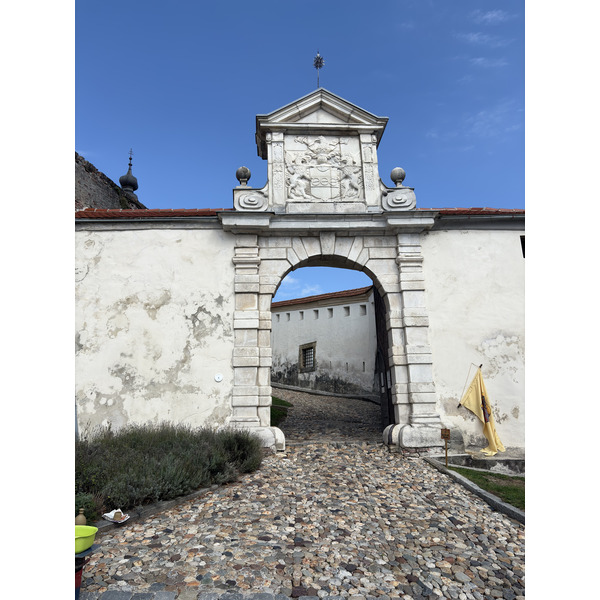 Picture Slovenia Ptuj 2025-09 5 - Journey Ptuj
